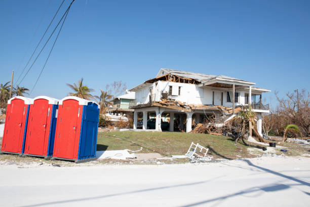 How Our Tree Care Process Works  in  Chillicothe, IL